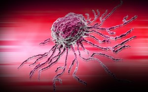 stem cell
