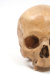 worlds first plastic surgeon