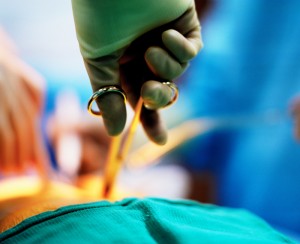 dentist may lose license