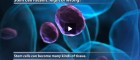 Stem Cell Marketing Claims